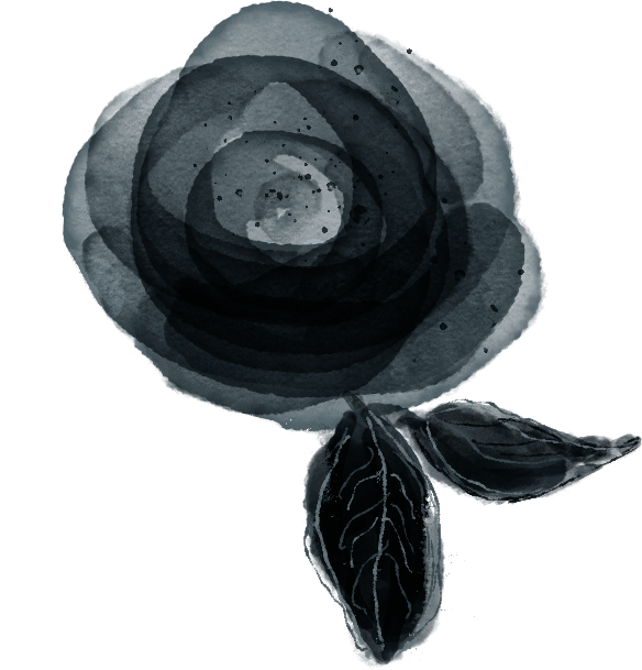 demo-attachment-39-header-image-2