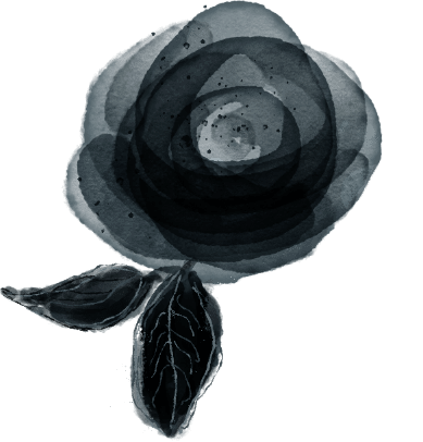 demo-attachment-426-history-bottom-right